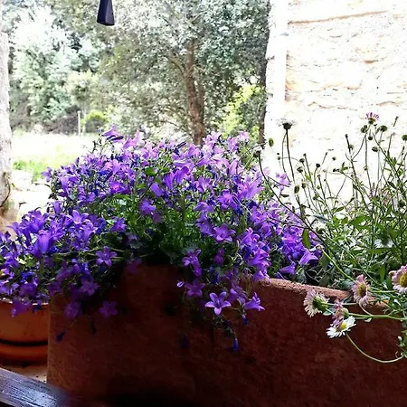 La Casita De Pozancos